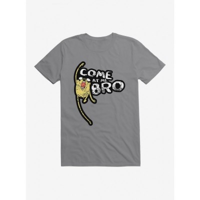 Adventure Time Come At Me Bro Unisex T-Shirt