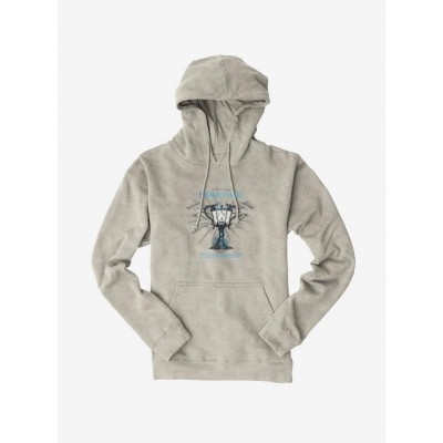 Harry Potter Cedric Diggory Triwizard Men's Heavyweight Hoodie