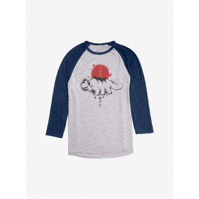 Avatar Appa Sumi-E Raglan T-Shirt for Men - Grey