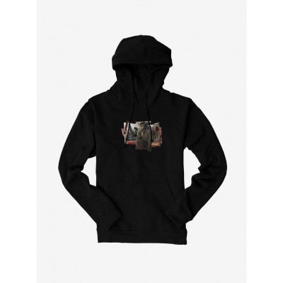 Harry Potter Collection Unisex Hoodie with Friends Design