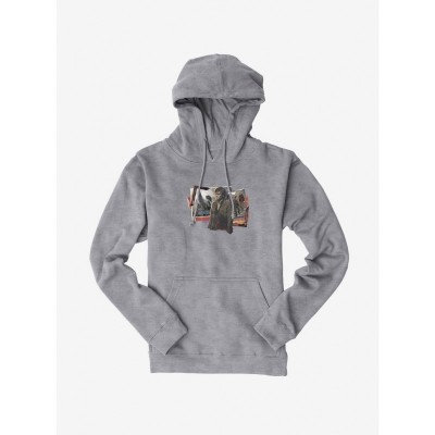Harry Potter Collection Unisex Hoodie with Friends Design