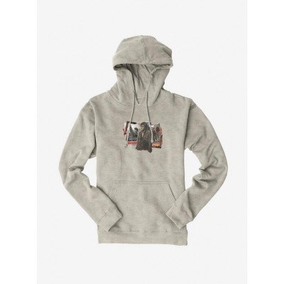 Harry Potter Collection Unisex Hoodie with Friends Design